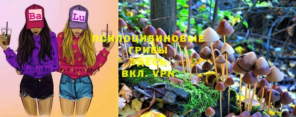 не бодяженный Арсеньев